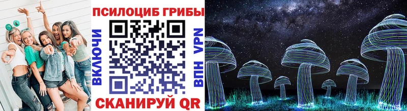 Псилоцибиновые грибы MAGIC MUSHROOMS  сколько стоит  Юхнов 